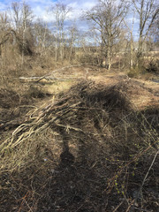 IMG_4160 Great Meadows ©2018 Paul Light