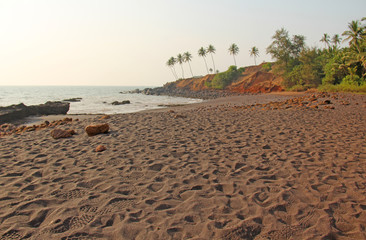 Beach with black sand and palm trees. Dark brown volcanic sand and beach in India, GOA