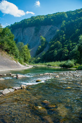 Mountain river flowing through the green forest