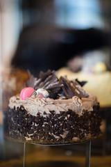Decadent Chocolate Cake with Chocolate Shavings