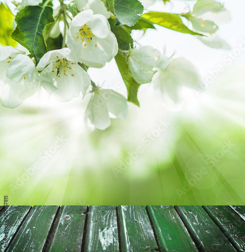Green Spring Background With White Flowers Green Leaves And
