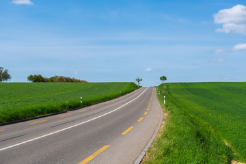Fototapeta na wymiar Strasse zwischen grünen Felder in den blauen Himmel