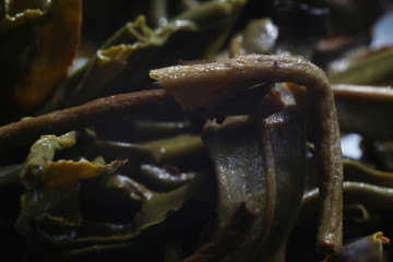 leaves of green tea macro