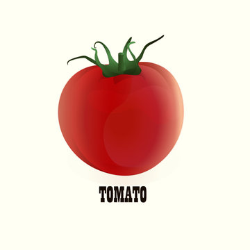 Picture of vector tomatoes on white background