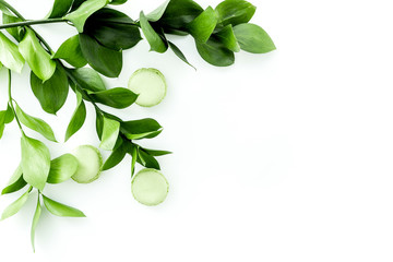 Fototapeta premium Summer background with green leaves and sweets macarons on white top view copy space