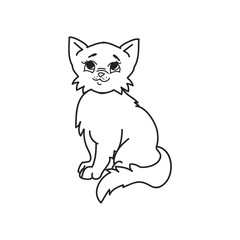Furry cat on white background