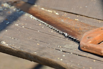 A manual saw on a tree with sawdust lies on a board