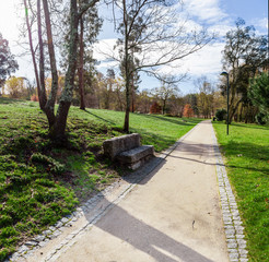 Garden or park bench near an empty dirt path, track, trail or pathway through the trees and green grass lawn in Parque da Devesa Urban Park. Vila Nova de Famalicao, Portugal