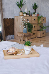 Breakfast in bed. Window light