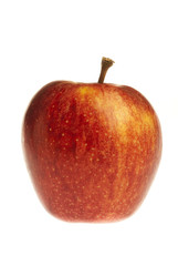 Red apple, in white background