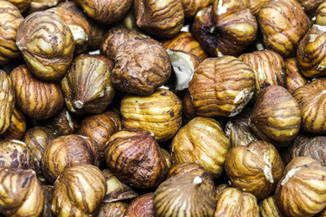 Haselnussvorrat im Detail