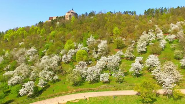 Drone flight around Tocnik Castle in blooming orchard. A royal chateau of Wenceslas IV from the 14th century, adjusted in the Renaissance and the Baroque styles. Famous Czech monument from above. 