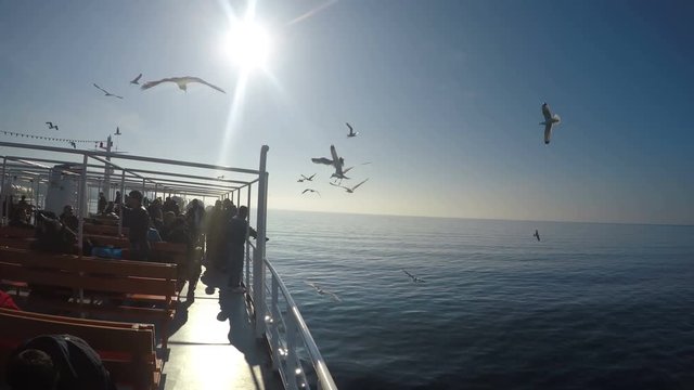Feeding the seagull birds flying near ferry boat against the sunset