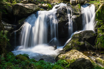 Fototapeta premium Germany, Sun shining on german triberg waterfalls in between green moss covered stones