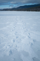 Frozen lake