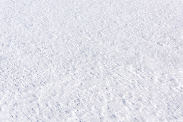 Close-up of bright white snow texture or background, surface of the snow in perspective