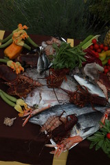 The healthy diet: fresh seafood and vegetables