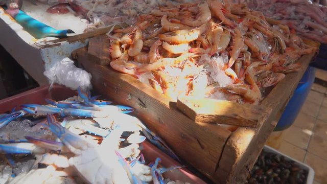 Fresh catch of squid, shrimp and crab in the fish market showcase