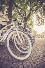 Fototapeta premium Geparkte Fahrräder in Fahrradverleih