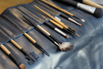 Professional set of makeup brushes. Many different make-up brushes in a leather case.