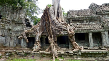 Naklejka premium Khmer Tempel in Angkor, Kambodscha