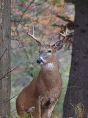 That Hartford Moment