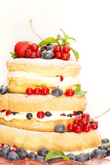 Fruit naked cake