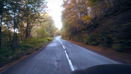 POV road travel in Alps in autumn