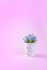 Blue spring flowers in a white glass. Pink background. Place for text. Card . May holidays. Vertical photo