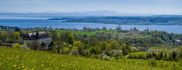 Fototapeta na wymiar Panorama Blick über den schönen Bodensee mit Alpenblick und blauen Himmel 
