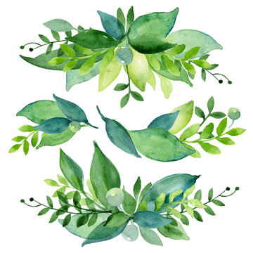 Watercolor spring or summer elements of wreath, on white background. Coloured green leaves and berries