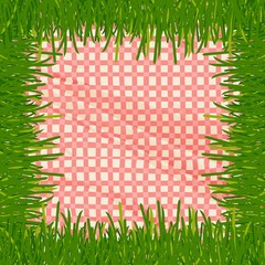 picnic tablecloth in a frame of grass