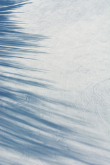 Snowy texture with ski tracks. Background image of mountain with trace of skiers and shadows of trees on snow. Downhill snowboarding tracks.