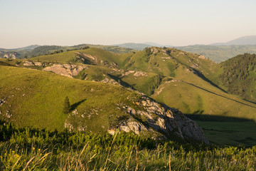 Minimalist landscape with rock and one tree on hill on background of blue sky.