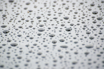 drops of water-repellent surface, after the rain