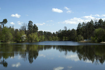 Fototapeta na wymiar Lake in the forest. Beautiful nature landscape.