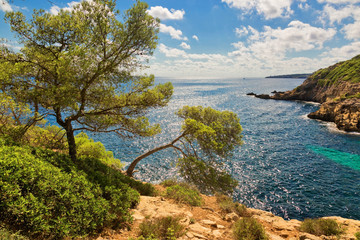 Fototapeta na wymiar Beautiful bay beach turquoise sea water.Mallorca island