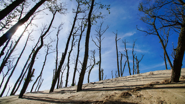 Rabka, National Słowiński parc, Poland