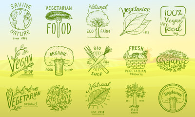 Healthy Organic food logos set or labels and elements for Vegetarian and Farm green natural vegetables products, vector illustration. badges healthy life. engraved hand drawn in old sketch.