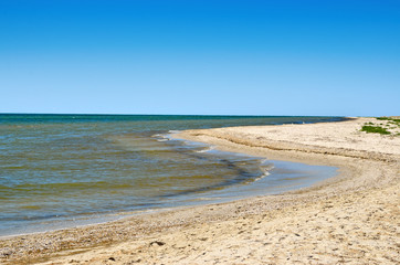 Sea waves washed clean beach made of shells. Landscape on a wild beach. The sea in the summer.