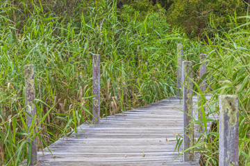 Obraz premium Aufnahme eines Holzsteges im Great Otway National Park in Australien fotografiert tagsüber im März 2015