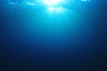 Fototapeta na wymiar Underwater blue sea