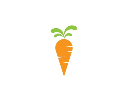 carrot ilustration logo vect