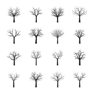Set of black naked vector trees. Vector Illustration.