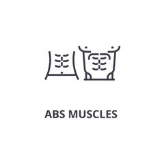 abs muscules thin line icon, sign, symbol, illustation, linear concept vector 