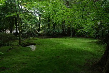 野宮神社の庭園