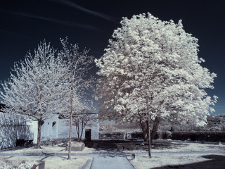 infrared photography - ir photo of landscape under sky with clouds