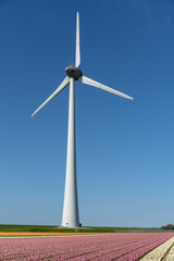 Obraz premium Wind turbine spinning and generating green carbone footprint free electricity under a sunny blue sky at Almere near Amsterdam, Netherlands