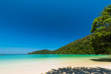 Obraz premium Beautiful the exotic beach and very nice beach for relaxation, Located Surin Island, Thailand
