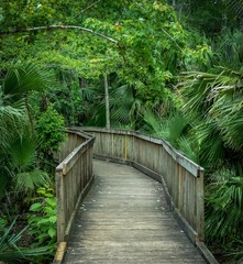 Obraz premium Wekiva Springs State Park - Altamonte Springs, FL 